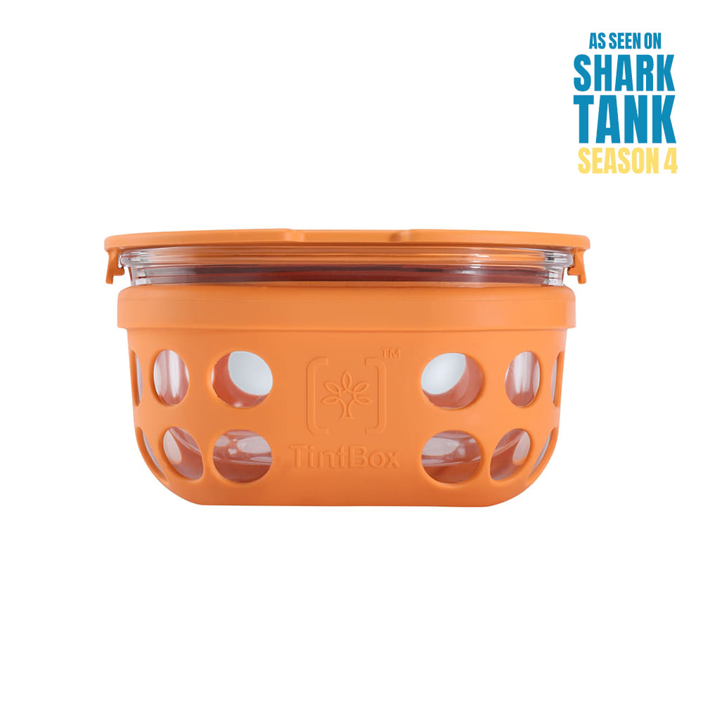 Borosilicate Glass Lunch Box with Silicone Sleeve, 300 ml