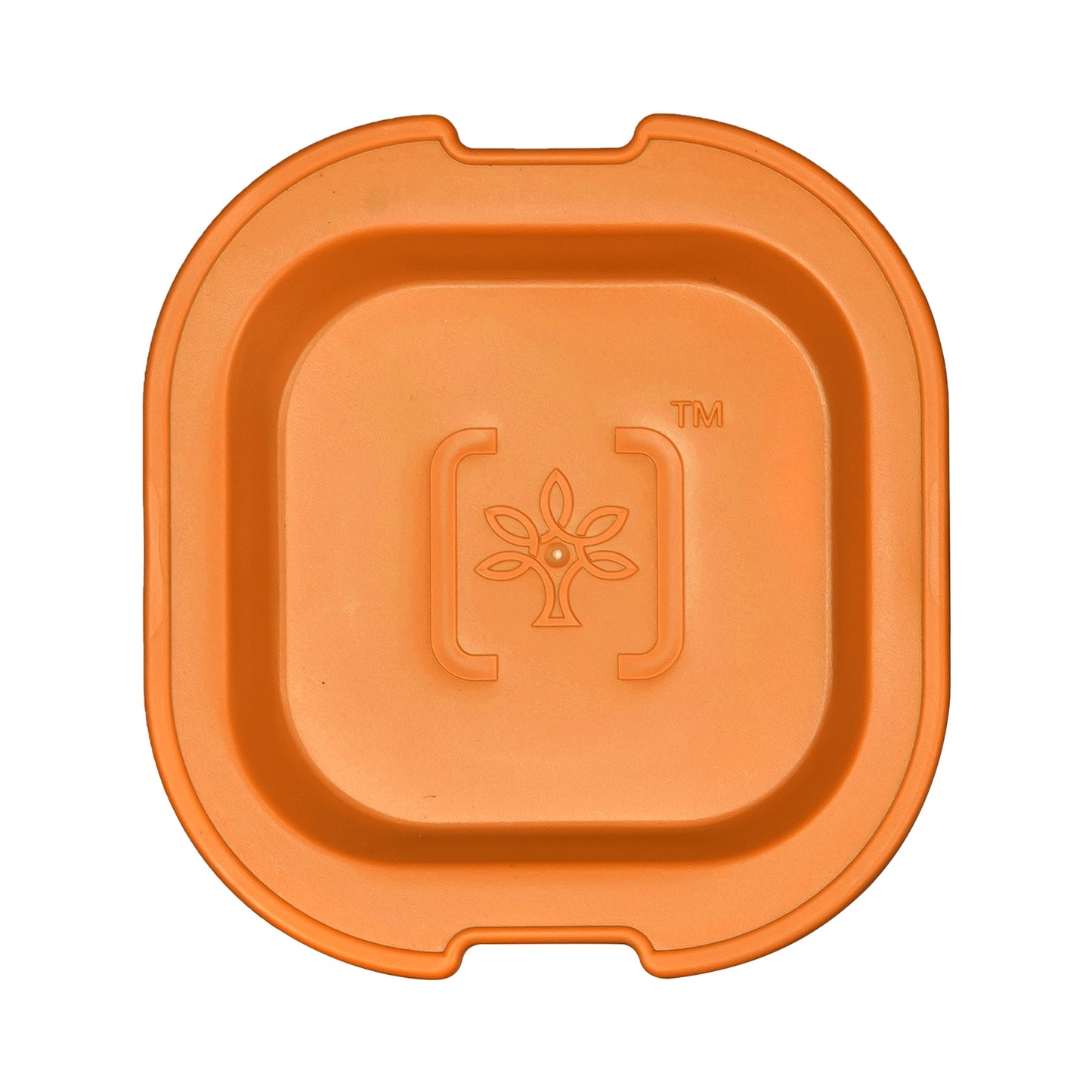 Customized Lunch Box , 300 ml  Testing