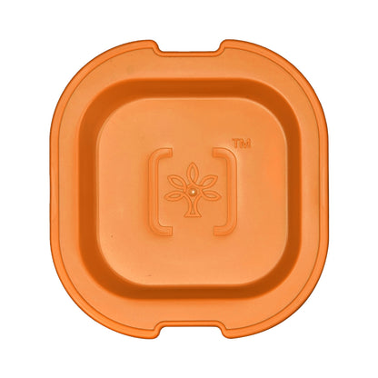 Customized Lunch Box , 300 ml  Testing