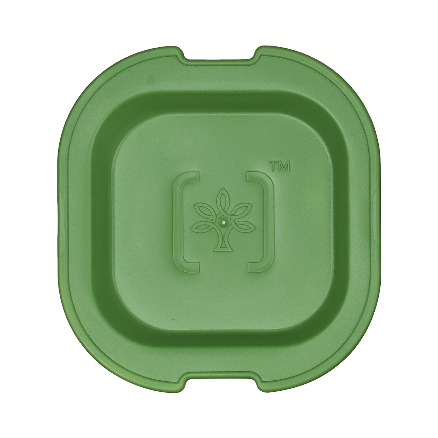 Customized Lunch Box , 300 ml  Testing