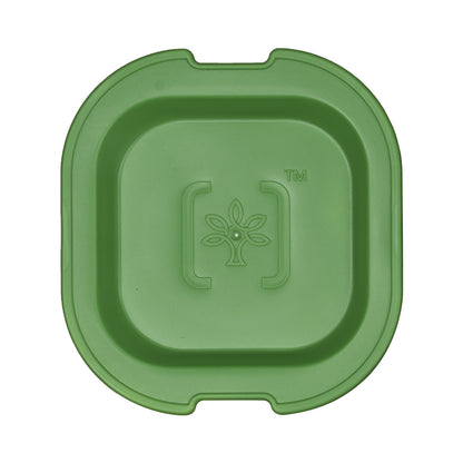 Customized Lunch Box , 300 ml  Testing
